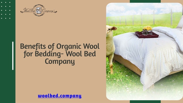 benefits of organic wool for bedding wool