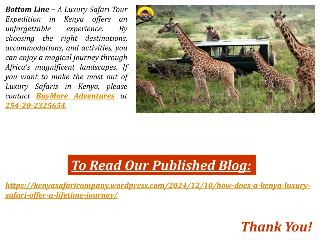 bottom line a luxury safari tour expedition