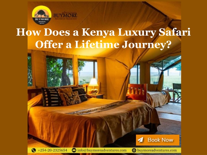 how does a kenya luxury safari offer a lifetime