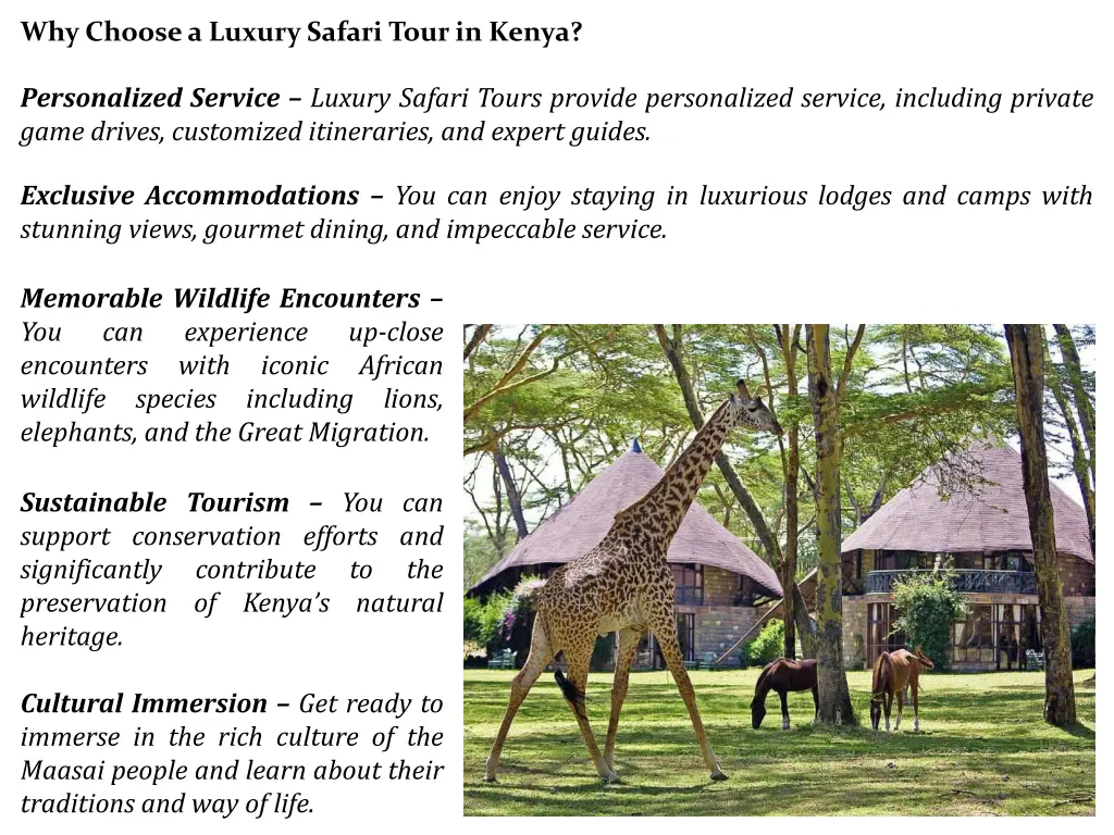 why choose a luxury safari tour in kenya