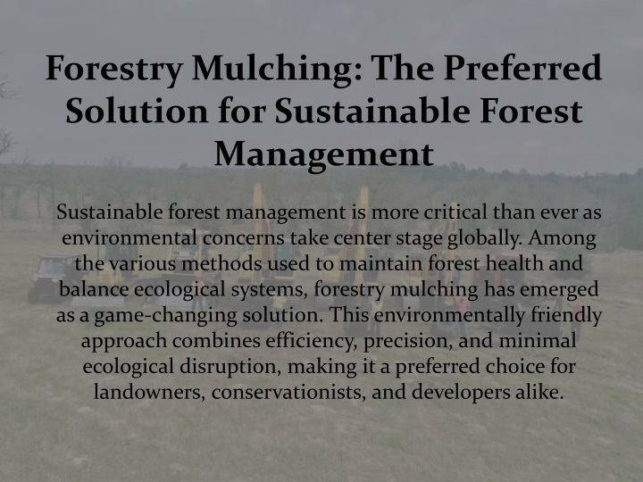 forestry mulching the preferred solution