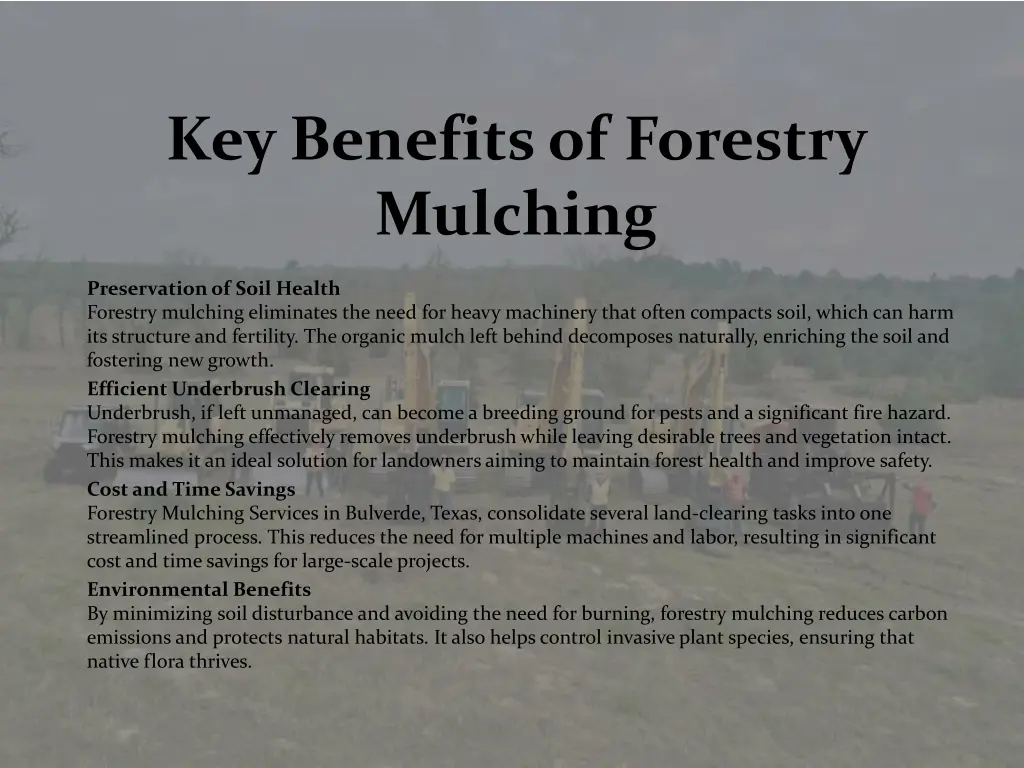 key benefits of forestry mulching