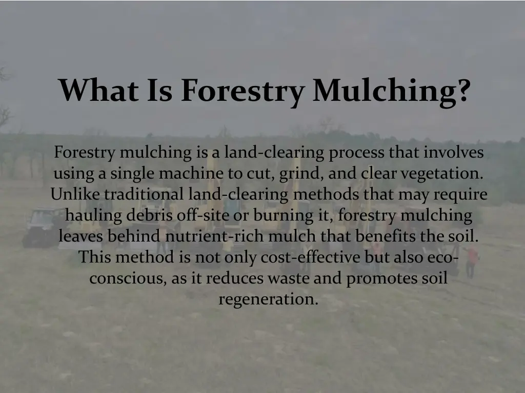 what is forestry mulching