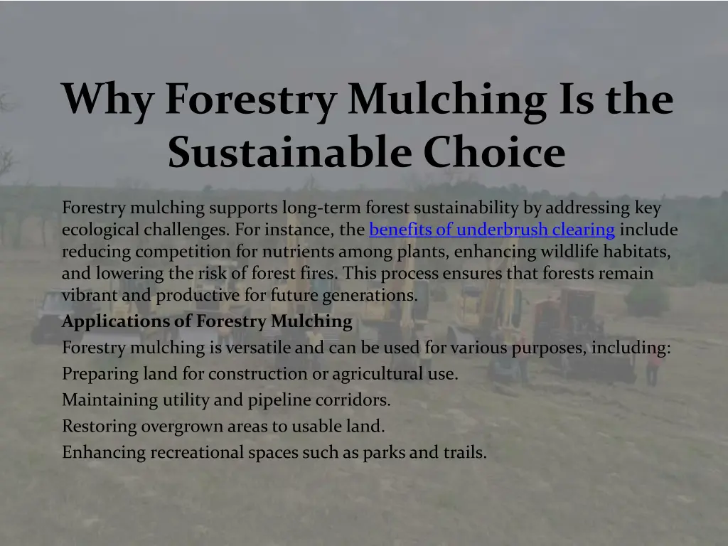 why forestry mulching is the sustainable choice