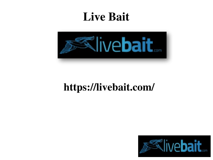 live bait