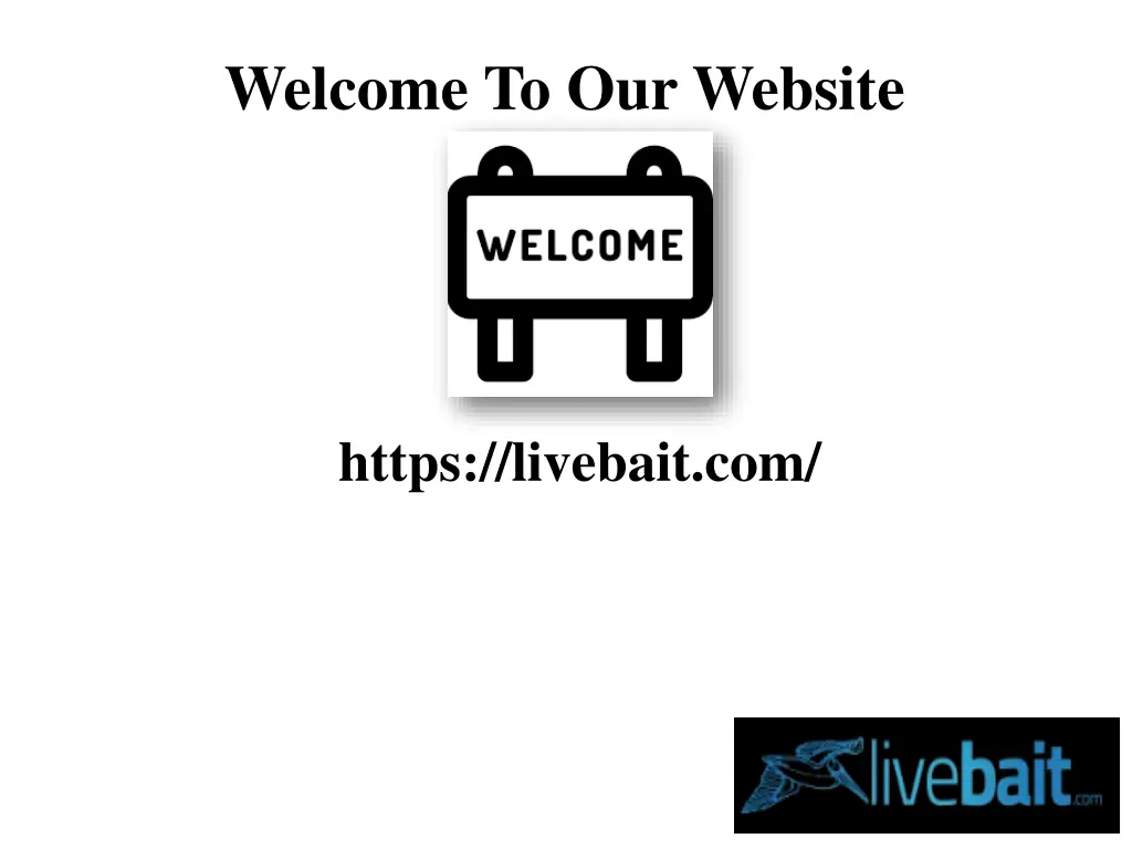 welcome to our website