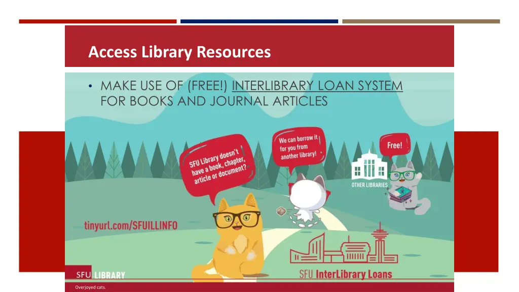 access library resources