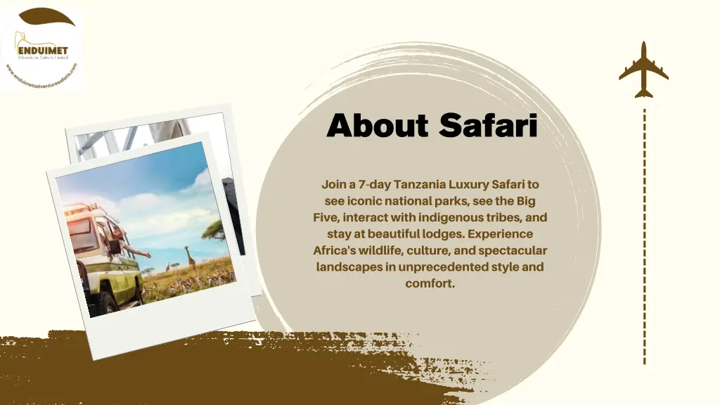 about safari