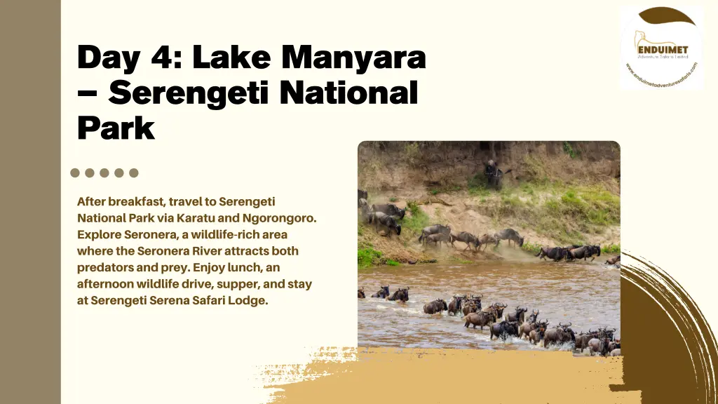 day 4 lake manyara serengeti national park