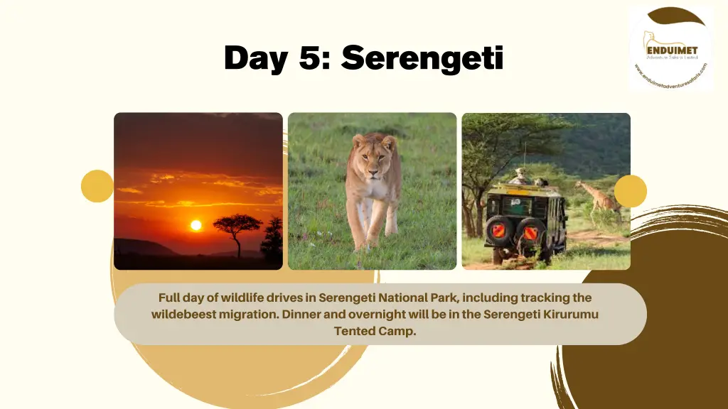 day 5 serengeti