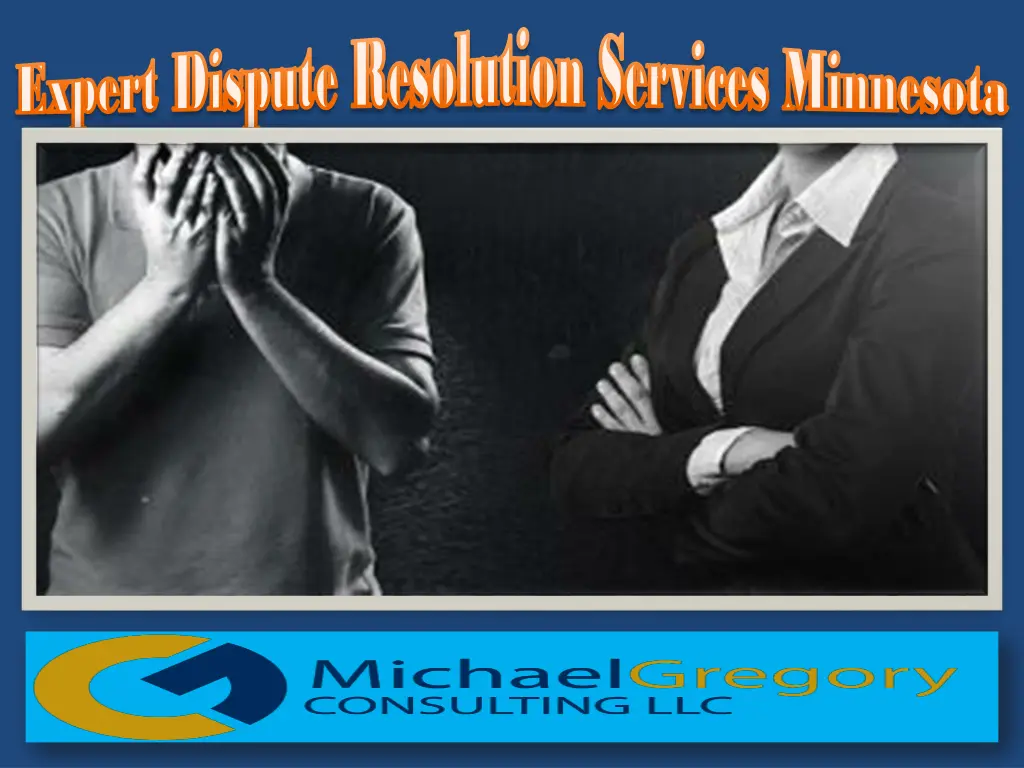 expert dispute expert dispute resolution 1