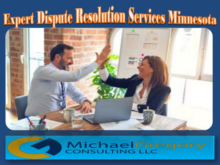 expert dispute expert dispute resolution