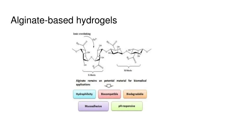 alginate based hydrogels