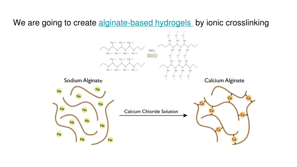 we are going to create alginate based hydrogels