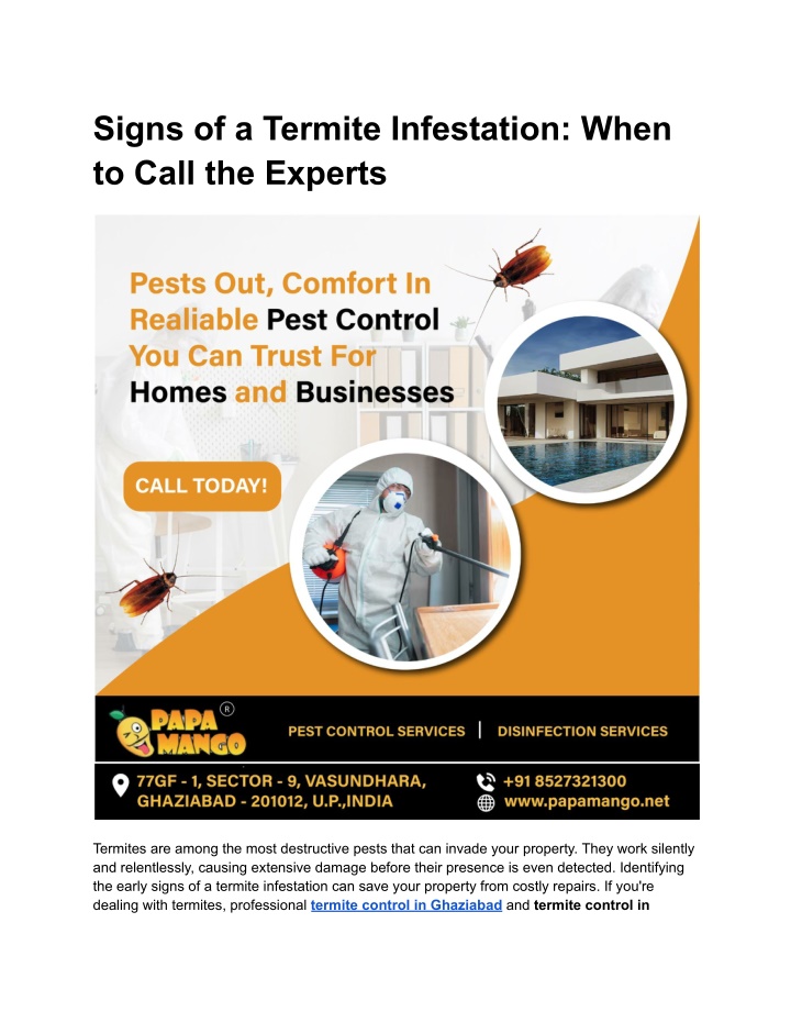 signs of a termite infestation when to call