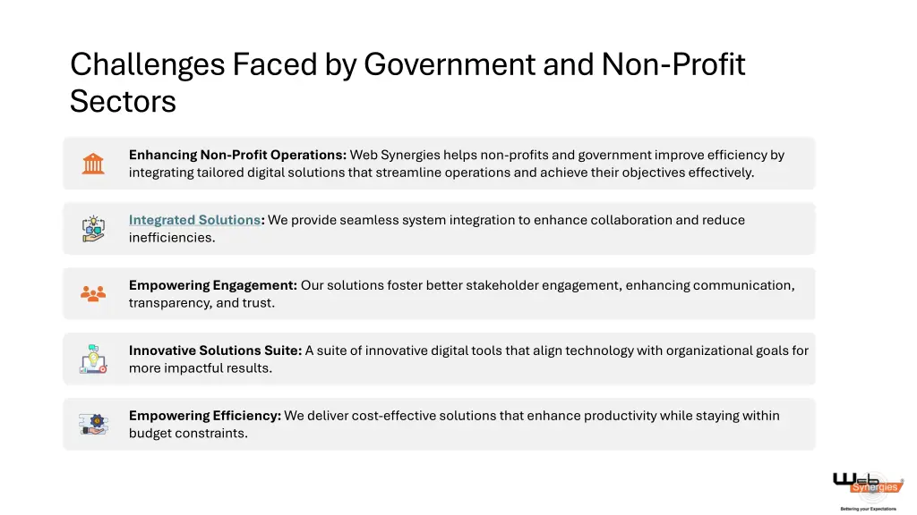 challenges faced by government and non profit