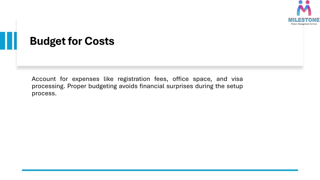 budget for costs