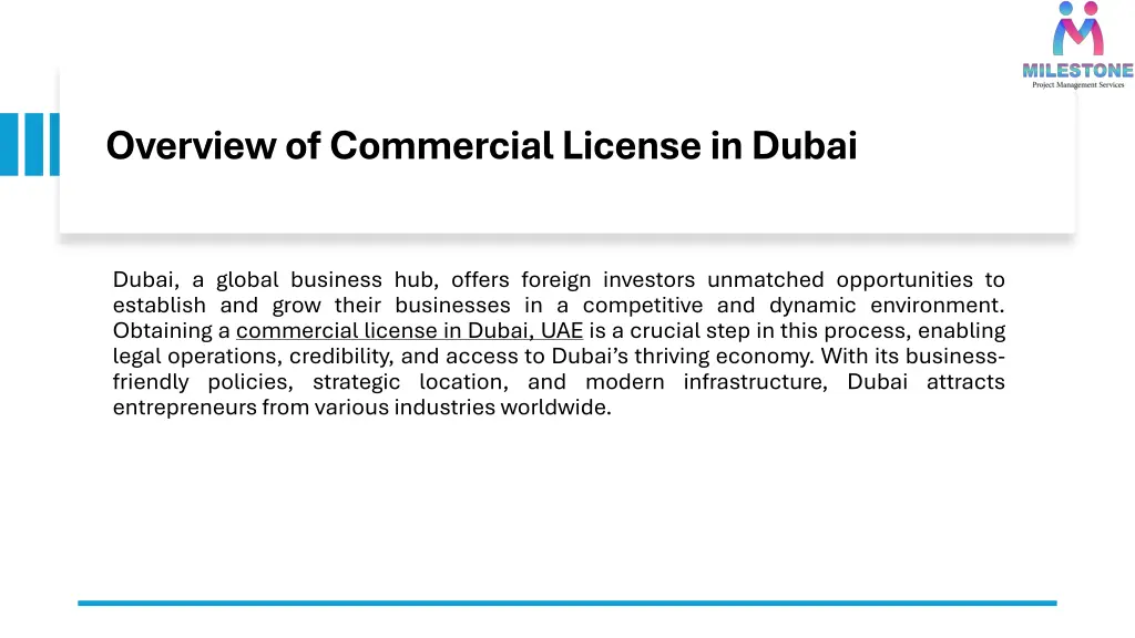 overview of commercial license in dubai