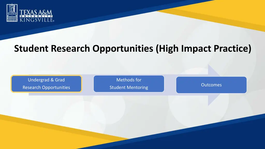 student research opportunities high impact
