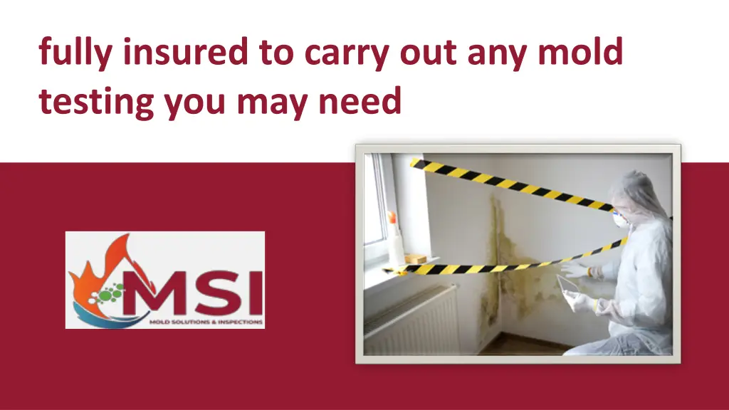 fully insured to carry out any mold testing