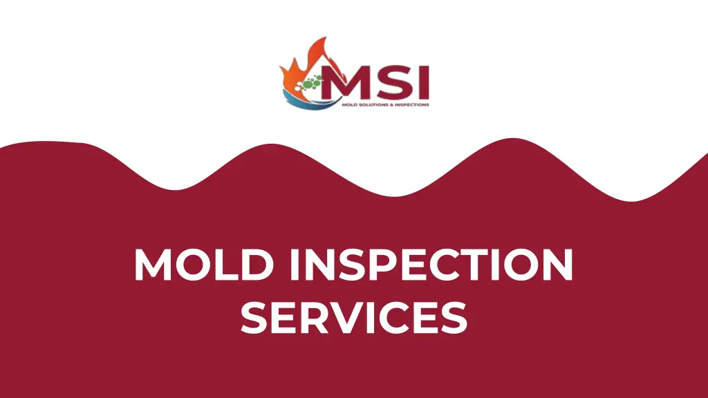 mold inspection services