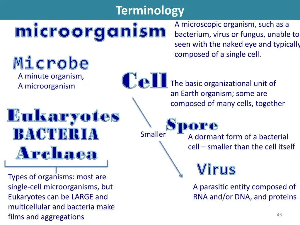 terminology