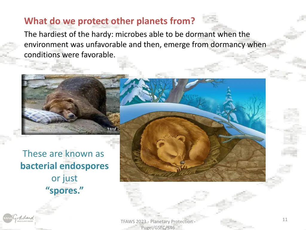 what do we protect other planets from