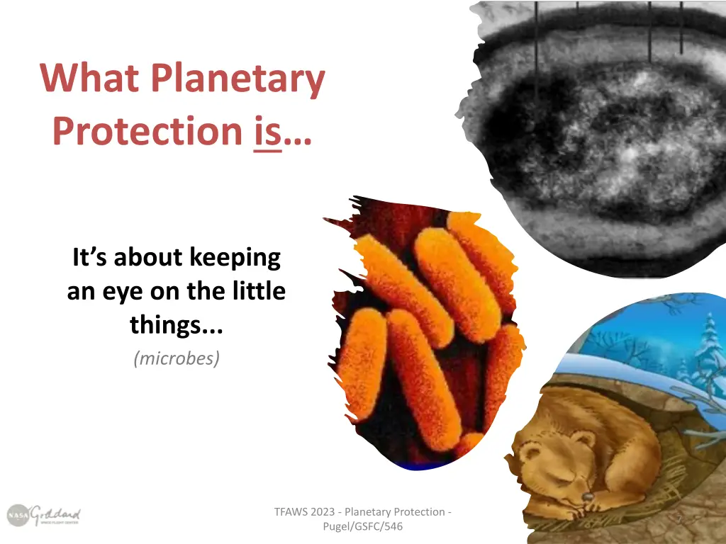 what planetary protection is