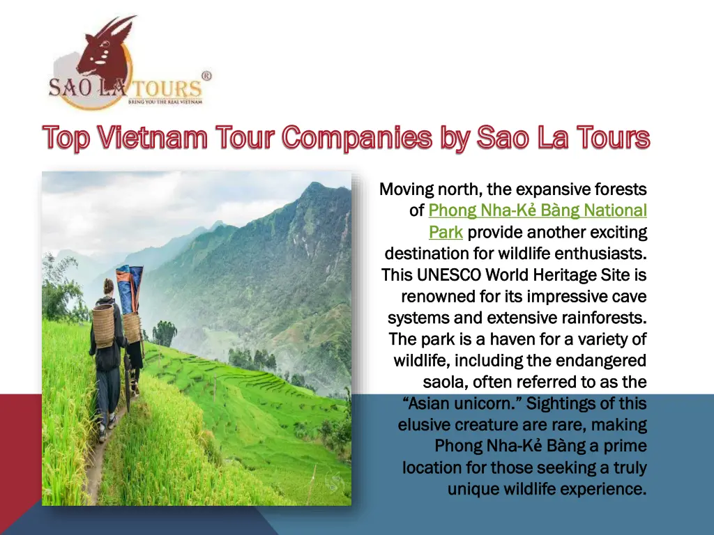 top vietnam tour companies by sao la tours 1