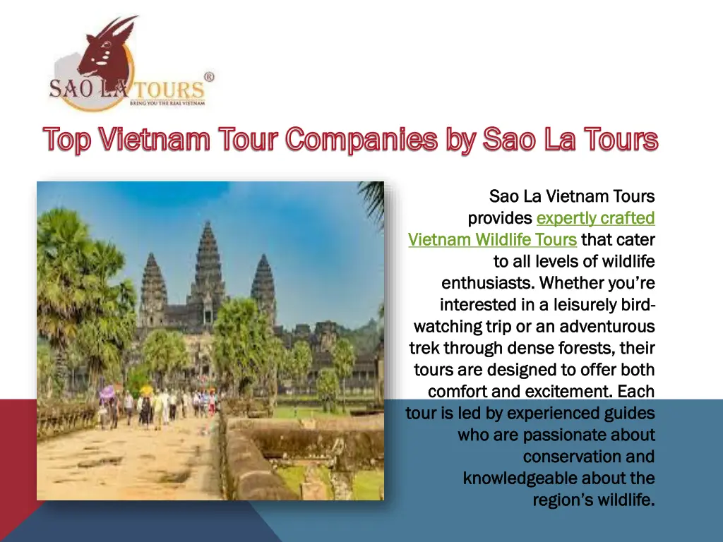 top vietnam tour companies by sao la tours 2