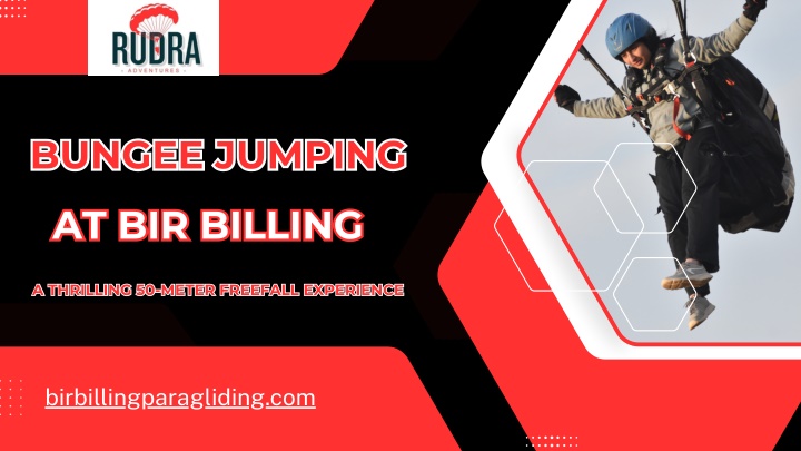 bungee jumping bungee jumping