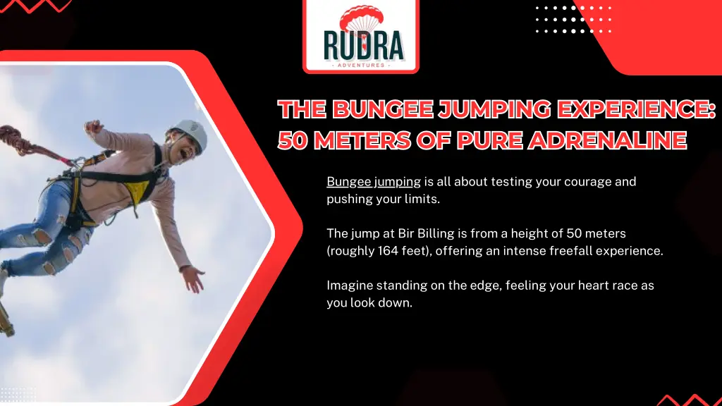 the bungee jumping experience 50 meters of pure