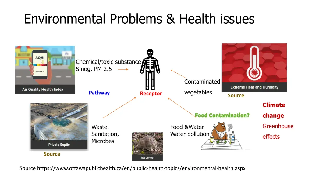 environmental problems health issues