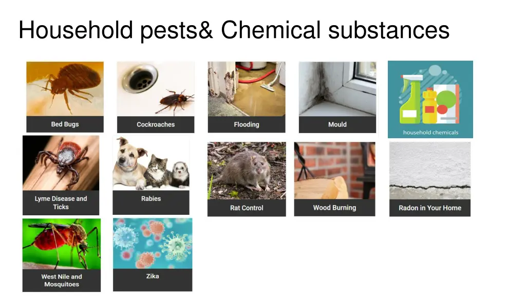 household pests chemical substances