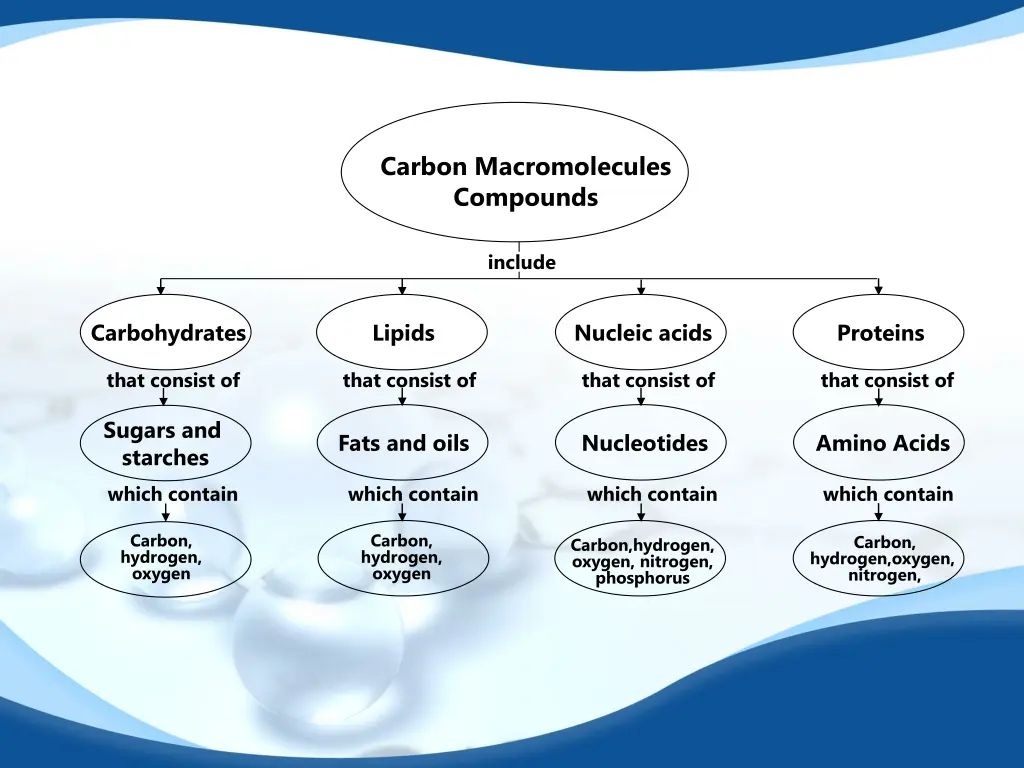 carbon macromolecules compounds