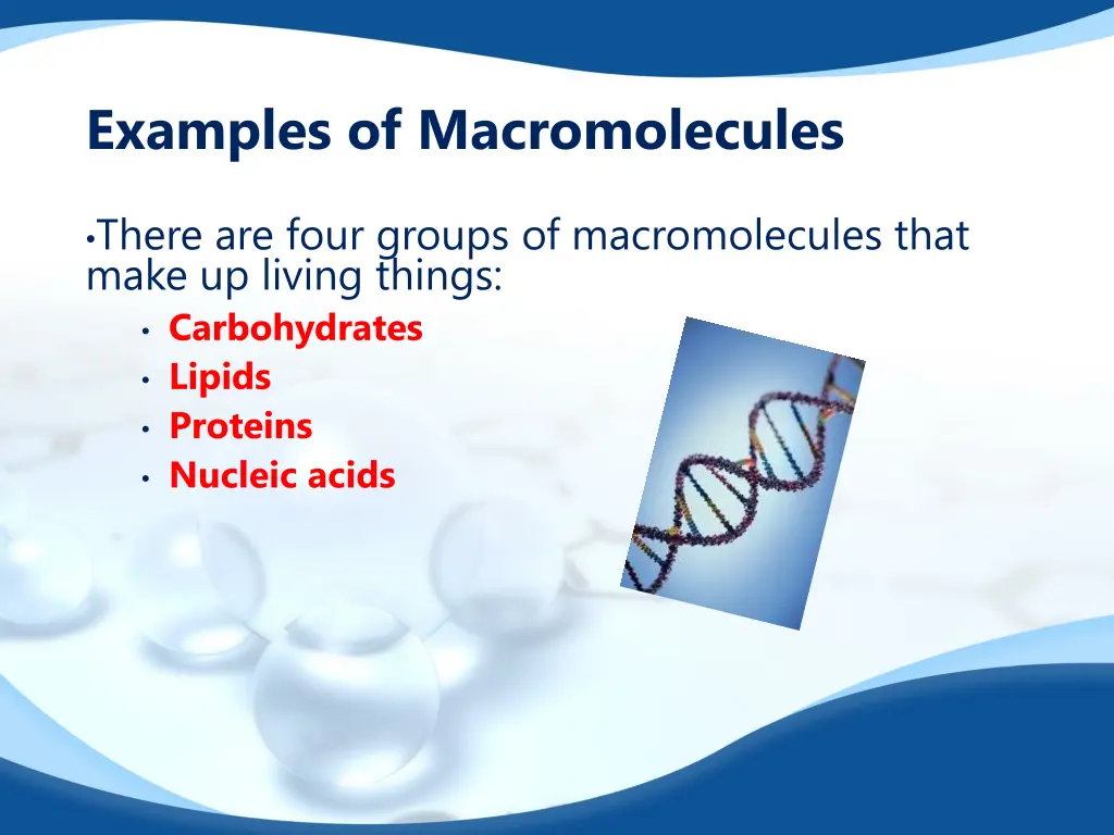 examples of macromolecules