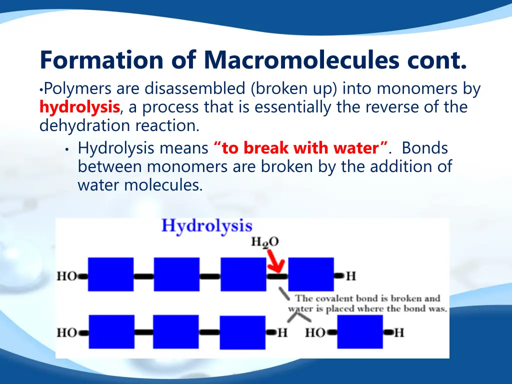 formation of macromolecules cont polymers