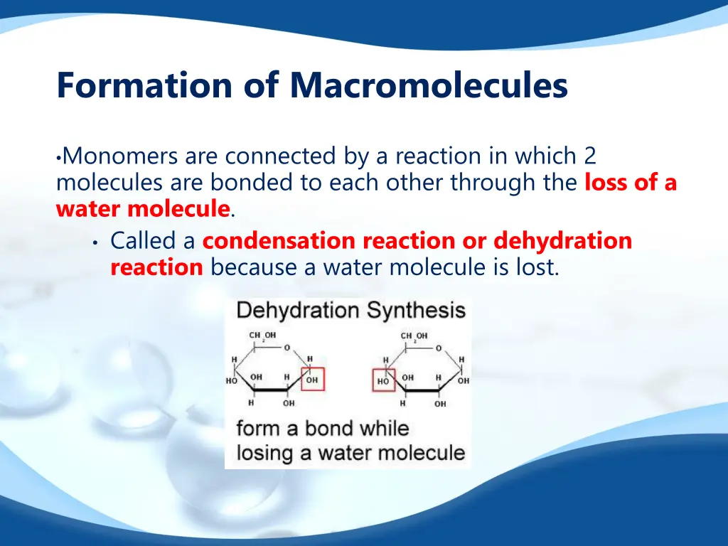 formation of macromolecules