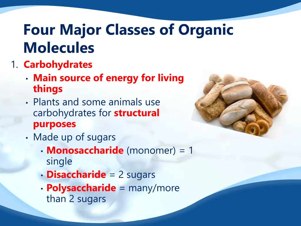 four major classes of organic molecules