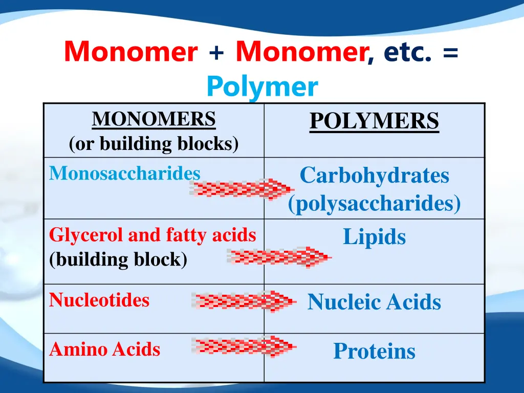 monomer monomer etc polymer monomers or building