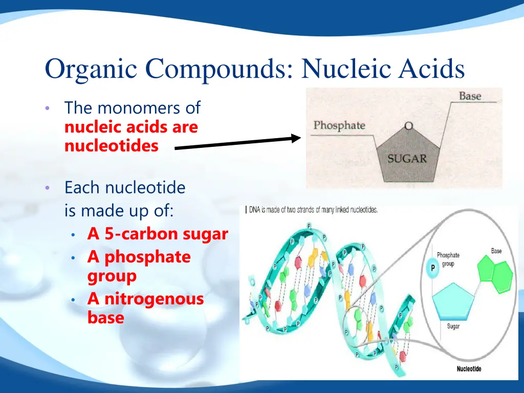 organic compounds nucleic acids