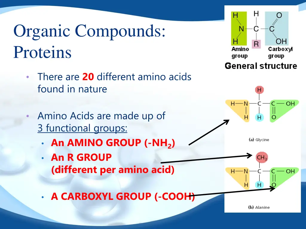 organic compounds proteins