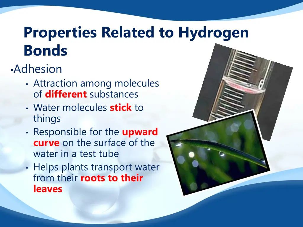 properties related to hydrogen bonds adhesion