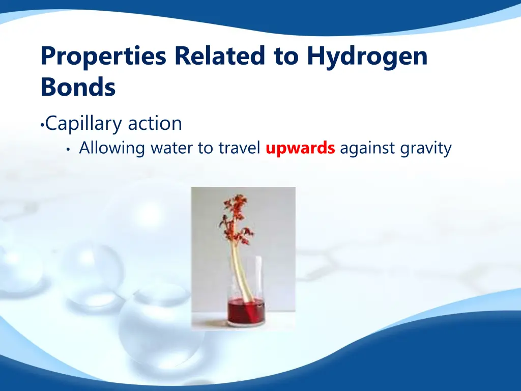 properties related to hydrogen bonds capillary