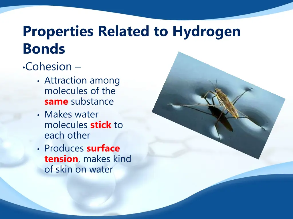 properties related to hydrogen bonds cohesion