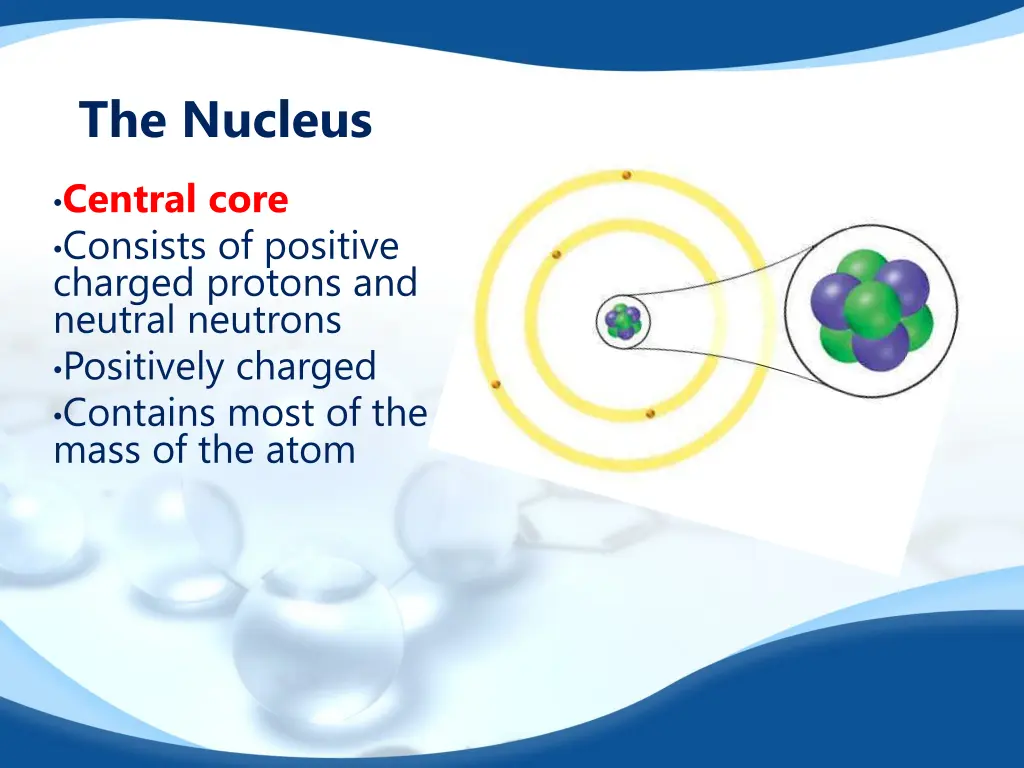 the nucleus