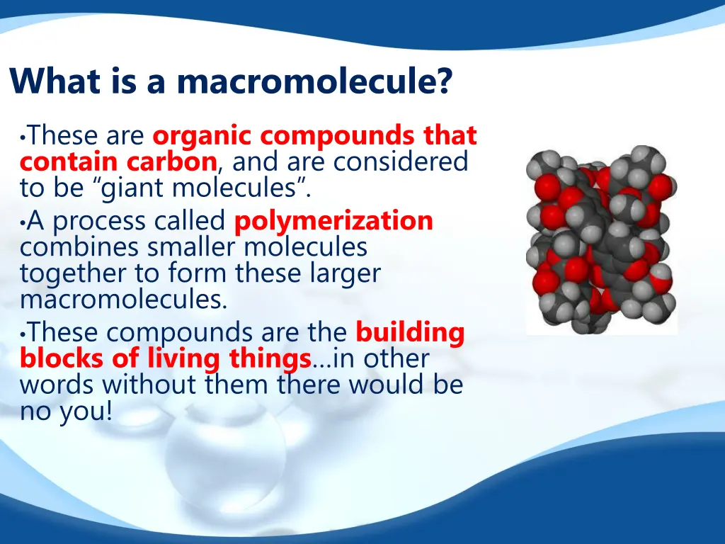 what is a macromolecule