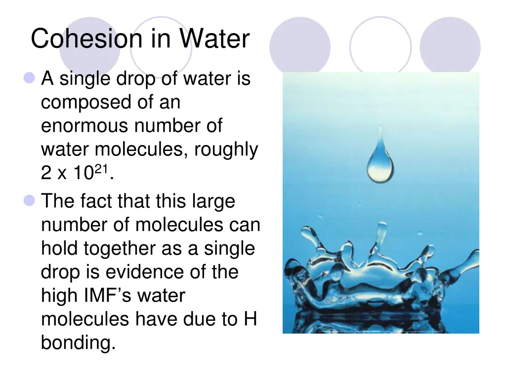 cohesion in water