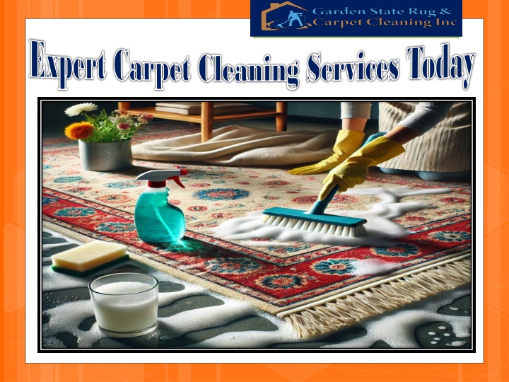 expert carpet cleaning services today expert