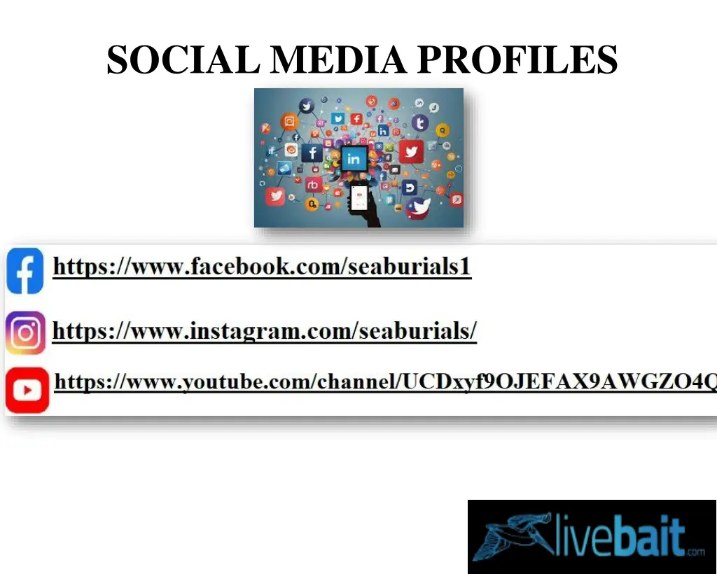 social media profiles